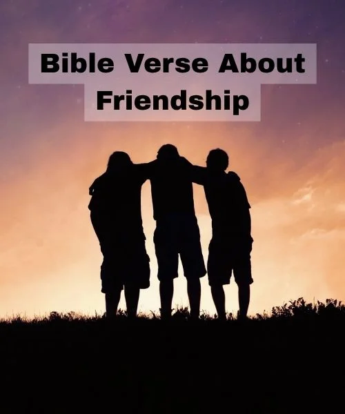 Bible Verse About Friendship