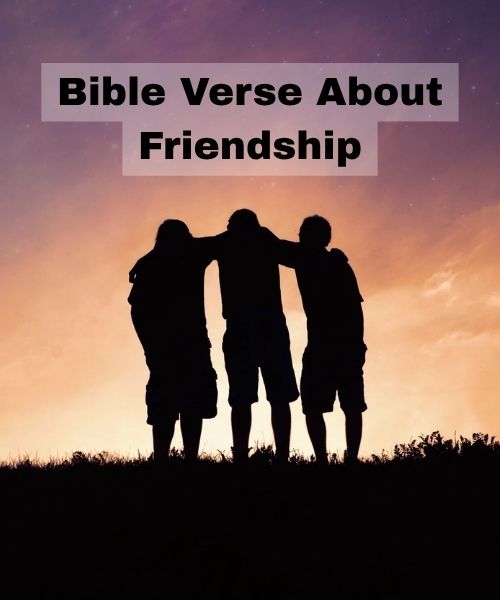 90+ Heart-Warming I Am So Proud of You Messages & A Bible Verse About Friendship 2026